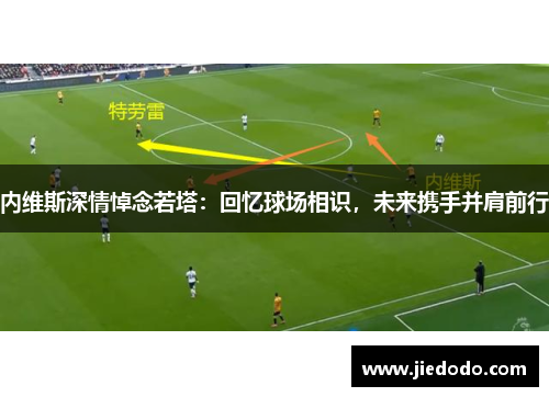 内维斯深情悼念若塔：回忆球场相识，未来携手并肩前行